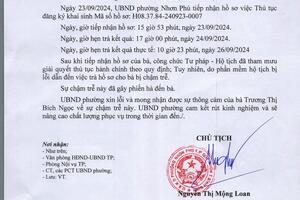 Ảnh 3